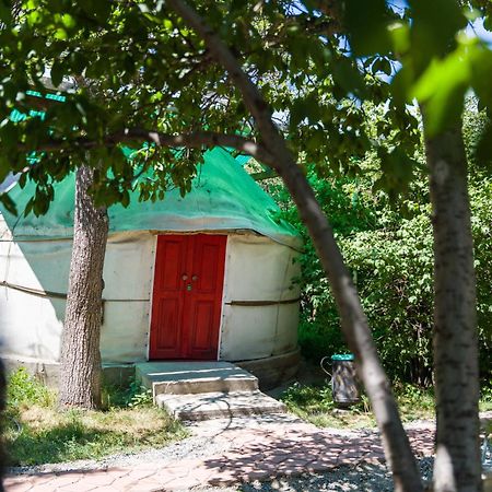 Hotel Arista Yurt Camp Karakol Exterior foto